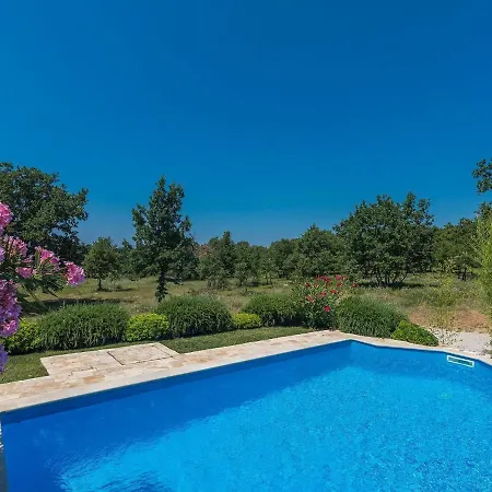 Bella Vista * بوريتش